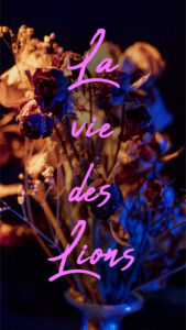 affiches_la vie des lions