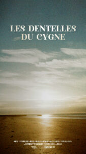 affiches_les dentelles du cygne